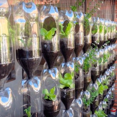 Huerta con botellas de plastico