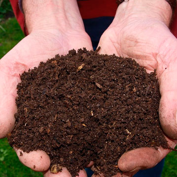 Como hacer compost