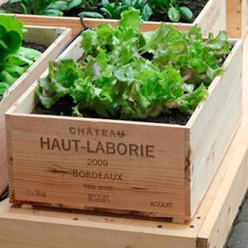 Como hacer cajones para huerta