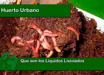 liquidos lixiviados