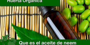 Que es el aceite de neem