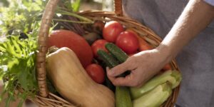 Guía para Principiantes en Huerta Orgánica