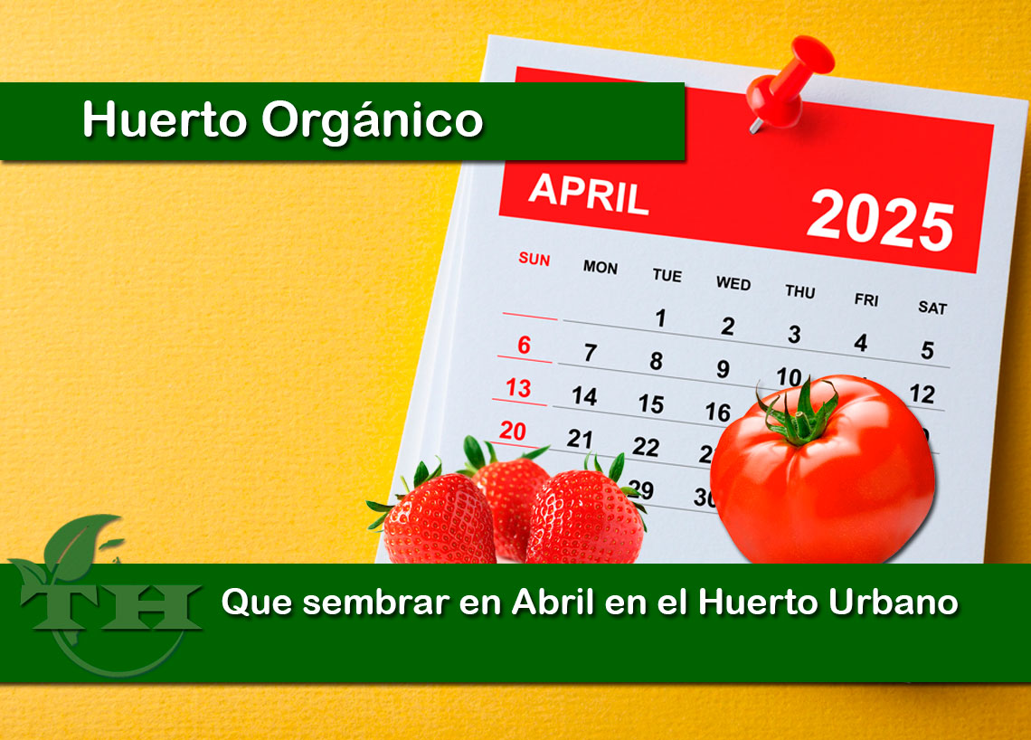 Que sembrar en Abril en el Huerto Urbano
