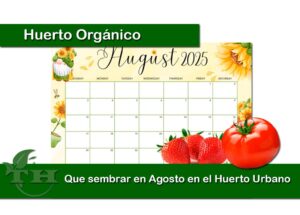 Que sembrar en Agosto
