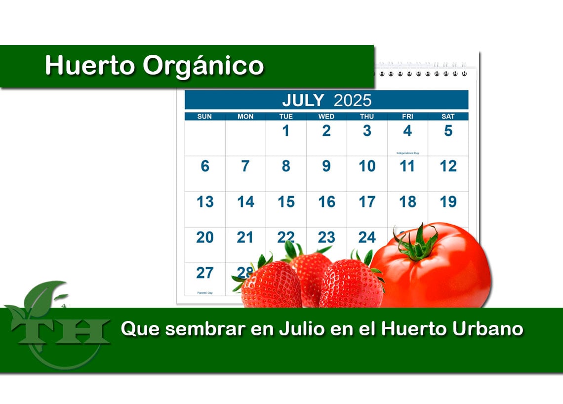 Que sembrar en Julio en el Huerto Urbano