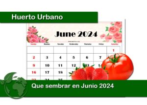 Que sembrar en Junio 2024