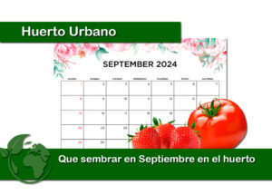 Que sembrar en septiembre 2024