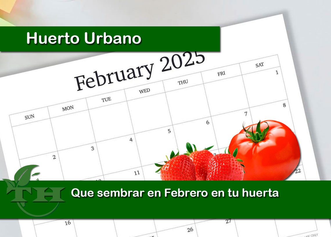 Que sembrar en febrero